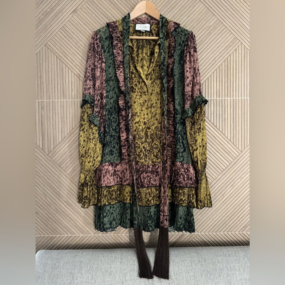 Alexis Multicolor Dress - Picture 7 of 13